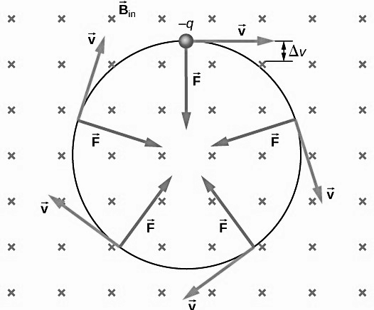 Fig.5 - Vector diagram of the forces acting inside the cyclotron on an electron